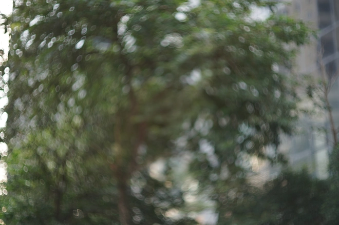 Tôi bỏ gần 7 triệu mua ống kính này để chụp ra hiệu ứng "độc lạ", hóa ra Xiaomi 14T cũng có mà bấy lâu nay không biết- Ảnh 6. Tôi bỏ gần 7 triệu mua ống kính này để chụp ra hiệu ứng "độc lạ", hóa ra Xiaomi 14T cũng có mà bấy lâu nay không biết- Ảnh 6.