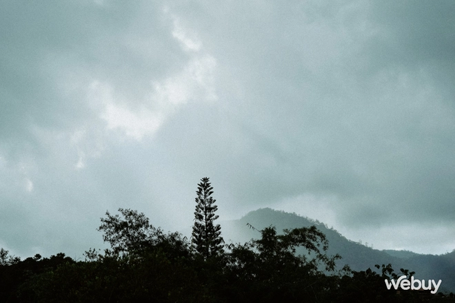 Cầm Sony 85mm F/1.4 GM II giá 50 triệu du hí bắc Thái Lan và đây là những gì tôi chụp được- Ảnh 18. Cầm Sony 85mm F/1.4 GM II giá 50 triệu du hí bắc Thái Lan và đây là những gì tôi chụp được- Ảnh 18.