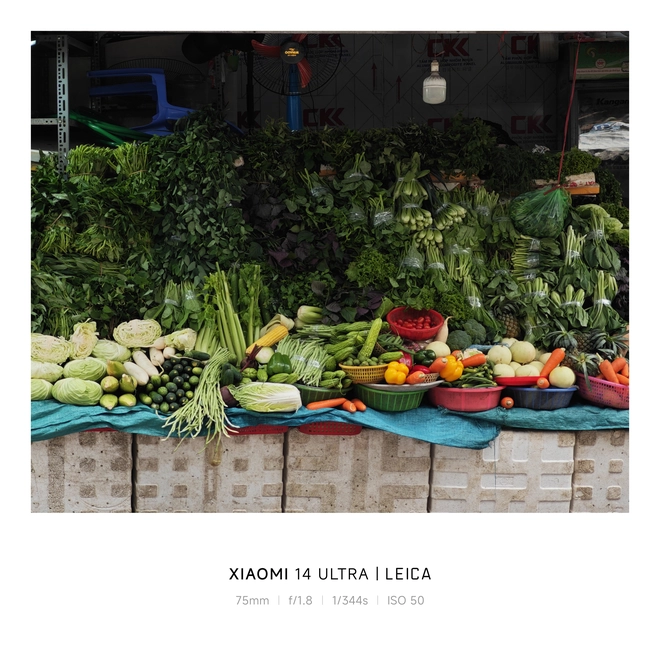 Mang Xiaomi 14 Ultra đi Ninh Bình chụp sen: Nhiều mức zoom lợi thế vô cùng, chụp macro rất vui nhưng có 1 điểm trừ to cần xử lý gấp- Ảnh 41. Mang Xiaomi 14 Ultra đi Ninh Bình chụp sen: Nhiều mức zoom lợi thế vô cùng, chụp macro rất vui nhưng có 1 điểm trừ to cần xử lý gấp- Ảnh 41.