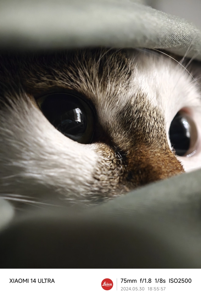 Mang Xiaomi 14 Ultra đi Ninh Bình chụp sen: Nhiều mức zoom lợi thế vô cùng, chụp macro rất vui nhưng có 1 điểm trừ to cần xử lý gấp- Ảnh 40. Mang Xiaomi 14 Ultra đi Ninh Bình chụp sen: Nhiều mức zoom lợi thế vô cùng, chụp macro rất vui nhưng có 1 điểm trừ to cần xử lý gấp- Ảnh 40.