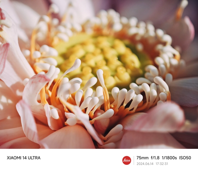 Mang Xiaomi 14 Ultra đi Ninh Bình chụp sen: Nhiều mức zoom lợi thế vô cùng, chụp macro rất vui nhưng có 1 điểm trừ to cần xử lý gấp- Ảnh 16. Mang Xiaomi 14 Ultra đi Ninh Bình chụp sen: Nhiều mức zoom lợi thế vô cùng, chụp macro rất vui nhưng có 1 điểm trừ to cần xử lý gấp- Ảnh 16.