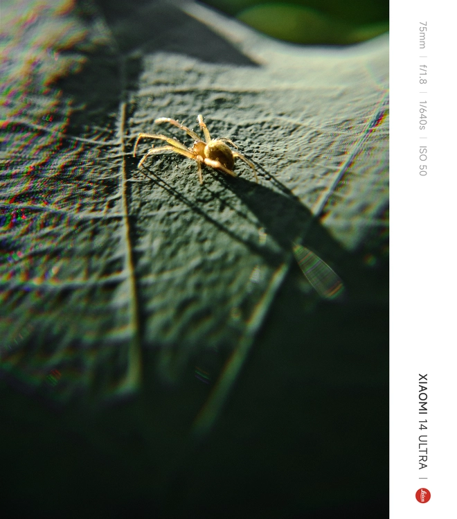 Mang Xiaomi 14 Ultra đi Ninh Bình chụp sen: Nhiều mức zoom lợi thế vô cùng, chụp macro rất vui nhưng có 1 điểm trừ to cần xử lý gấp- Ảnh 15. Mang Xiaomi 14 Ultra đi Ninh Bình chụp sen: Nhiều mức zoom lợi thế vô cùng, chụp macro rất vui nhưng có 1 điểm trừ to cần xử lý gấp- Ảnh 15.