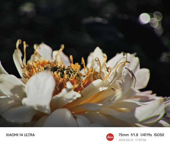 Mang Xiaomi 14 Ultra đi Ninh Bình chụp sen: Nhiều mức zoom lợi thế vô cùng, chụp macro rất vui nhưng có 1 điểm trừ to cần xử lý gấp- Ảnh 19. Mang Xiaomi 14 Ultra đi Ninh Bình chụp sen: Nhiều mức zoom lợi thế vô cùng, chụp macro rất vui nhưng có 1 điểm trừ to cần xử lý gấp- Ảnh 19.