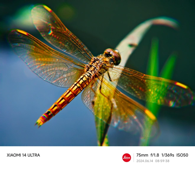 Mang Xiaomi 14 Ultra đi Ninh Bình chụp sen: Nhiều mức zoom lợi thế vô cùng, chụp macro rất vui nhưng có 1 điểm trừ to cần xử lý gấp- Ảnh 14. Mang Xiaomi 14 Ultra đi Ninh Bình chụp sen: Nhiều mức zoom lợi thế vô cùng, chụp macro rất vui nhưng có 1 điểm trừ to cần xử lý gấp- Ảnh 14.