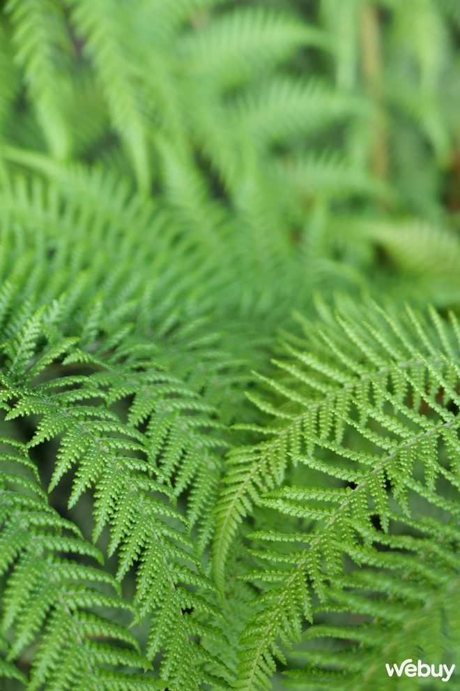 Cảm nhận chiếc Leica Q "mini" sau 1 tuần dùng thử: Chấm đỏ chưa bao giờ làm tôi thất vọng- Ảnh 30. Cảm nhận chiếc Leica Q "mini" sau 1 tuần dùng thử: Chấm đỏ chưa bao giờ làm tôi thất vọng- Ảnh 30.