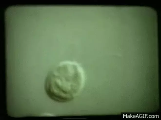 Các kỹ sư Nhật Bản vừa tạo ra Các kỹ sư Nhật Bản vừa tạo ra