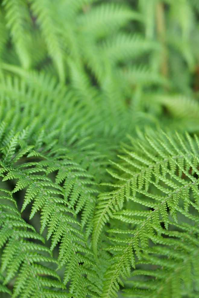 Trên tay Leica D-Lux 8: Máy ảnh compact cao cấp, nhìn giống Leica Q và giá bán tới gần 50 triệu Đồng- Ảnh 12. Trên tay Leica D-Lux 8: Máy ảnh compact cao cấp, nhìn giống Leica Q và giá bán tới gần 50 triệu Đồng- Ảnh 12.