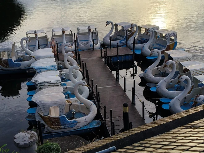 Đánh giá OPPO Reno12 Series: AI sẽ là thứ giúp bạn gắn bó với "dòng chảy bạc"- Ảnh 28. Đánh giá OPPO Reno12 Series: AI sẽ là thứ giúp bạn gắn bó với "dòng chảy bạc"- Ảnh 28.