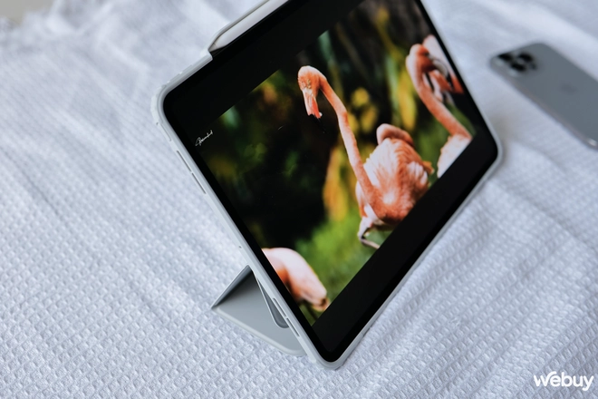 Trải nghiệm ốp lưng chống sốc đa-zi-năng cho iPad Pro/Air tới từ Spigen, giá 2,59 triệu đồng- Ảnh 12. Trải nghiệm ốp lưng chống sốc đa-zi-năng cho iPad Pro/Air tới từ Spigen, giá 2,59 triệu đồng- Ảnh 12.