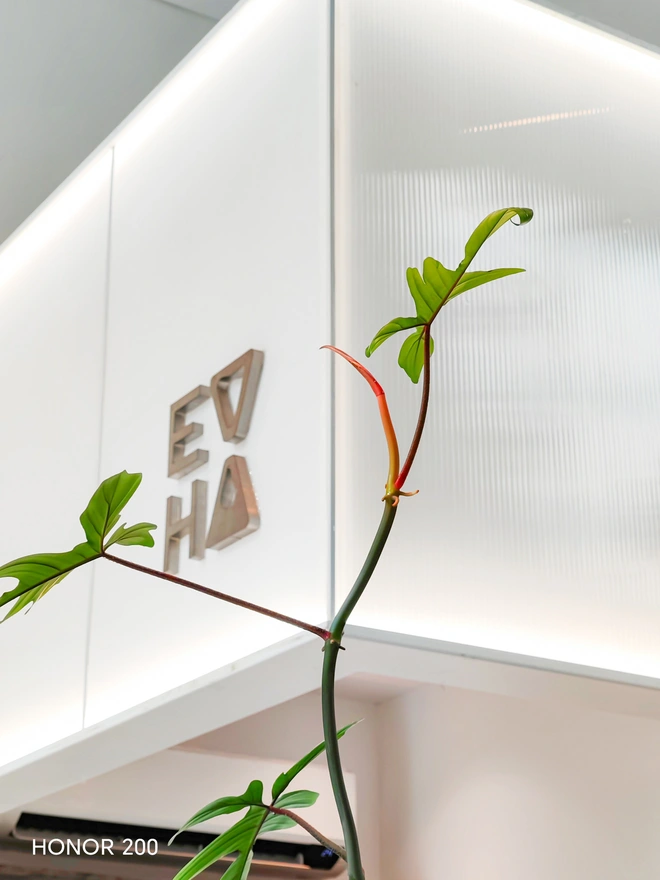 Hành trình tìm kiếm bức ảnh chân dung trị giá 2.000 EUR với Honor 200 5G, có dễ như lời đồn?- Ảnh 47. Hành trình tìm kiếm bức ảnh chân dung trị giá 2.000 EUR với Honor 200 5G, có dễ như lời đồn?- Ảnh 47.