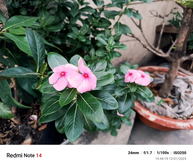 Smartphone "quốc dân" đáng mua dịp Tết này: Xiaomi Redmi Note 14 sale cuối năm chỉ còn 4,1 triệu đồng- Ảnh 13. Smartphone "quốc dân" đáng mua dịp Tết này: Xiaomi Redmi Note 14 sale cuối năm chỉ còn 4,1 triệu đồng- Ảnh 13.