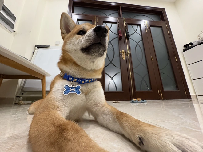 Ba th&aacute;ng trải nghiệm iPhone 16: Nhỏ gọn, thực dụng v&agrave; qu&aacute; "an to&agrave;n", c&oacute; lẽ chỉ Apple mới d&aacute;m l&agrave;m điều n&agrave;y!- Ảnh 23.