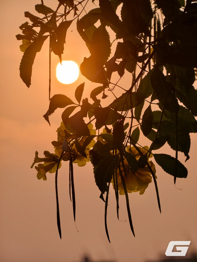 1 tuần chụp ảnh với vivo X300 Pro và kit zoom 10x: Nói "đẹp nhất thế giới" là không ngoa - Ảnh 7.