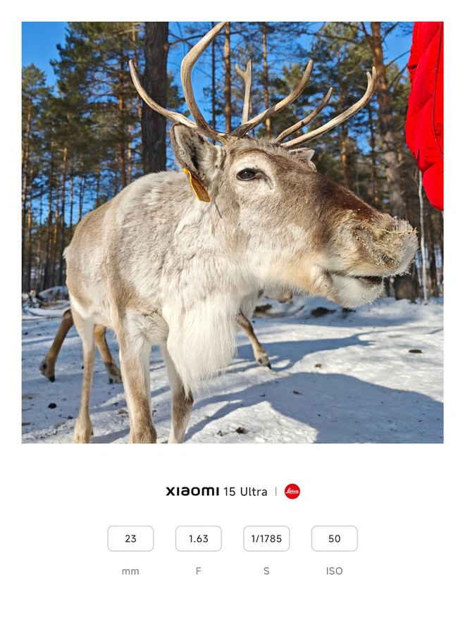 Cận cảnh Xiaomi 15 Ultra: Không phải điện thoại, đây là "máy ảnh" chạy Android!- Ảnh 9. Cận cảnh Xiaomi 15 Ultra: Không phải điện thoại, đây là "máy ảnh" chạy Android!- Ảnh 9.