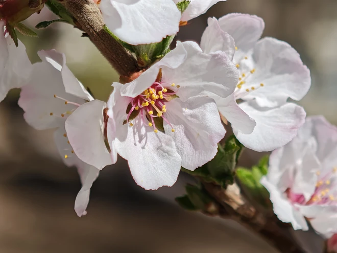 Đánh giá Xiaomi 15 Ultra: Đủ bản lĩnh thoát khỏi vùng an toàn, đủ hấp dẫn để bạn phải cân nhắc lại về khái niệm Đánh giá Xiaomi 15 Ultra: Đủ bản lĩnh thoát khỏi vùng an toàn, đủ hấp dẫn để bạn phải cân nhắc lại về khái niệm