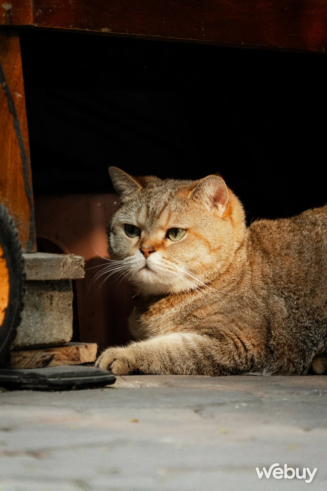 Ống kính Sigma mới zoom "từ nhà đến trường", chụp du lịch rất ổn nhưng hợp hơn cả là làm nghề này- Ảnh 41. Ống kính Sigma mới zoom "từ nhà đến trường", chụp du lịch rất ổn nhưng hợp hơn cả là làm nghề này- Ảnh 41.