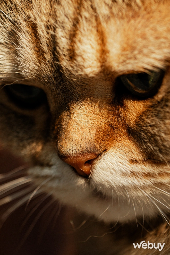 Ống kính Sigma mới zoom "từ nhà đến trường", chụp du lịch rất ổn nhưng hợp hơn cả là làm nghề này- Ảnh 24. Ống kính Sigma mới zoom "từ nhà đến trường", chụp du lịch rất ổn nhưng hợp hơn cả là làm nghề này- Ảnh 24.