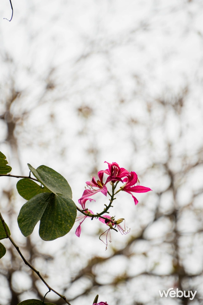 Ống kính Sigma mới zoom "từ nhà đến trường", chụp du lịch rất ổn nhưng hợp hơn cả là làm nghề này- Ảnh 43. Ống kính Sigma mới zoom "từ nhà đến trường", chụp du lịch rất ổn nhưng hợp hơn cả là làm nghề này- Ảnh 43.