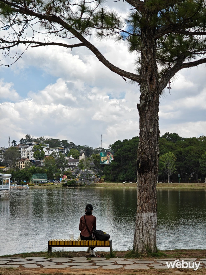 1 tuần chụp ảnh với OPPO Find N5: Đã phá bỏ định kiến điện thoại gập là phải chụp xấu?- Ảnh 16. 1 tuần chụp ảnh với OPPO Find N5: Đã phá bỏ định kiến điện thoại gập là phải chụp xấu?- Ảnh 16.