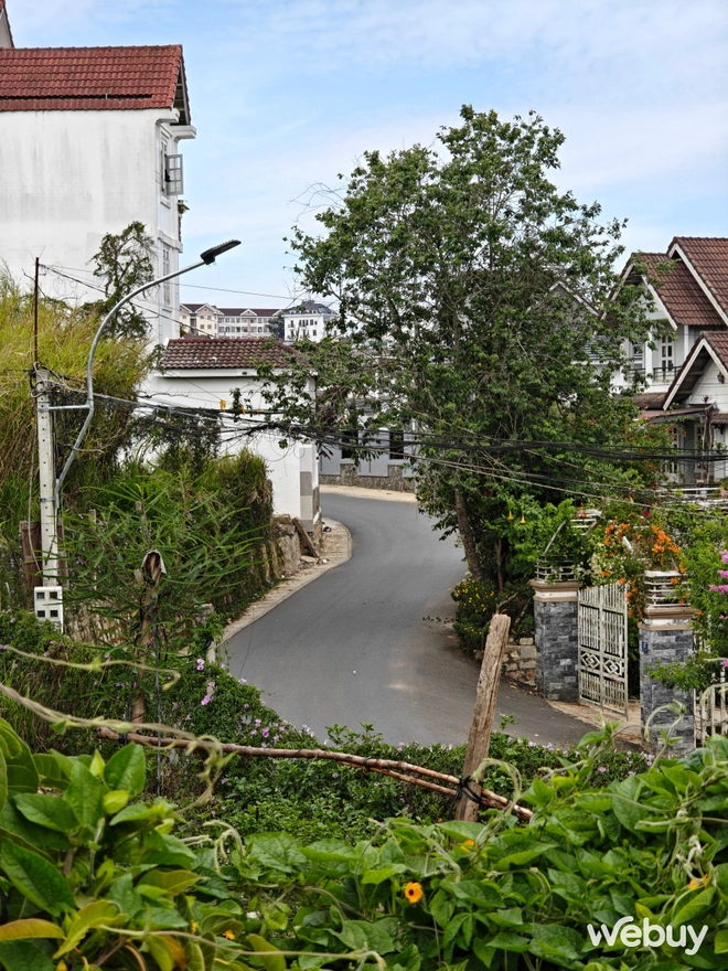 1 tuần chụp ảnh với OPPO Find N5: Đã phá bỏ định kiến điện thoại gập là phải chụp xấu?- Ảnh 17. 1 tuần chụp ảnh với OPPO Find N5: Đã phá bỏ định kiến điện thoại gập là phải chụp xấu?- Ảnh 17.