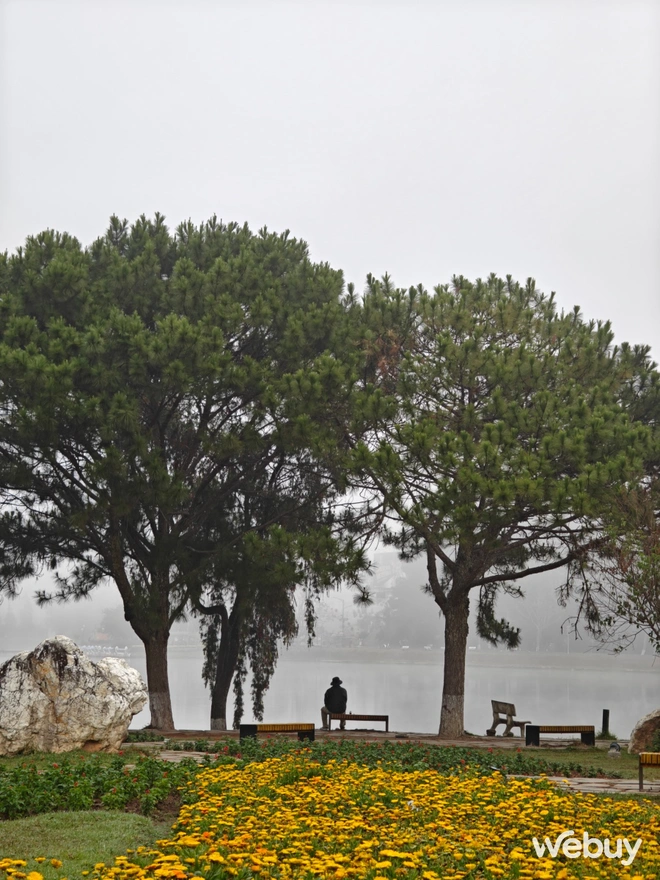 1 tuần chụp ảnh với OPPO Find N5: Đã phá bỏ định kiến điện thoại gập là phải chụp xấu?- Ảnh 5. 1 tuần chụp ảnh với OPPO Find N5: Đã phá bỏ định kiến điện thoại gập là phải chụp xấu?- Ảnh 5.