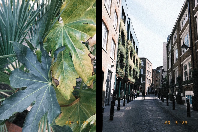 Fujifilm X half: Khi chụp ảnh trở thành một... "vai diễn", hóa ra Fujifilm không bán thiết bị mà là bán cảm xúc- Ảnh 12. Fujifilm X half: Khi chụp ảnh trở thành một... "vai diễn", hóa ra Fujifilm không bán thiết bị mà là bán cảm xúc- Ảnh 12.