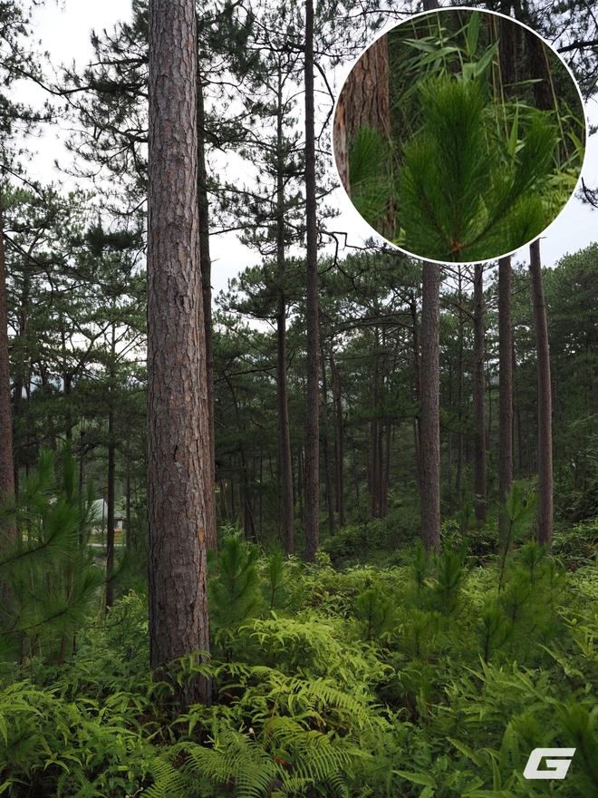 Lần đầu chơi hệ Micro 4/3 với OM System OM-3: Cảm biến nhỏ bù bằng tính năng to, giá "khủng" nhưng chắc chắn có người thích- Ảnh 19. Lần đầu chơi hệ Micro 4/3 với OM System OM-3: Cảm biến nhỏ bù bằng tính năng to, giá "khủng" nhưng chắc chắn có người thích- Ảnh 19.