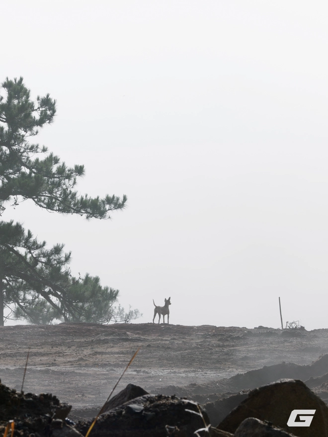 Lần đầu chơi hệ Micro 4/3 với OM System OM-3: Cảm biến nhỏ bù bằng tính năng to, giá "khủng" nhưng chắc chắn có người thích- Ảnh 24. Lần đầu chơi hệ Micro 4/3 với OM System OM-3: Cảm biến nhỏ bù bằng tính năng to, giá "khủng" nhưng chắc chắn có người thích- Ảnh 24.