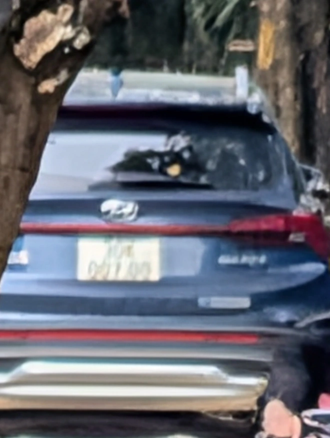 Trên tay Pixel 10 Pro XL: "Bình cũ rượu mới" nhưng có nâng cấp camera cực ngon, giá gần 40 triệu liệu có đáng mua?- Ảnh 25. Trên tay Pixel 10 Pro XL: "Bình cũ rượu mới" nhưng có nâng cấp camera cực ngon, giá gần 40 triệu liệu có đáng mua?- Ảnh 25.