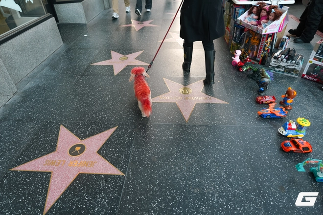 Trên tay và trải nghiệm nhanh Sony A7 V: Khi dòng A7 "quốc dân" chạm ngưỡng cao cấp - Ảnh 20.