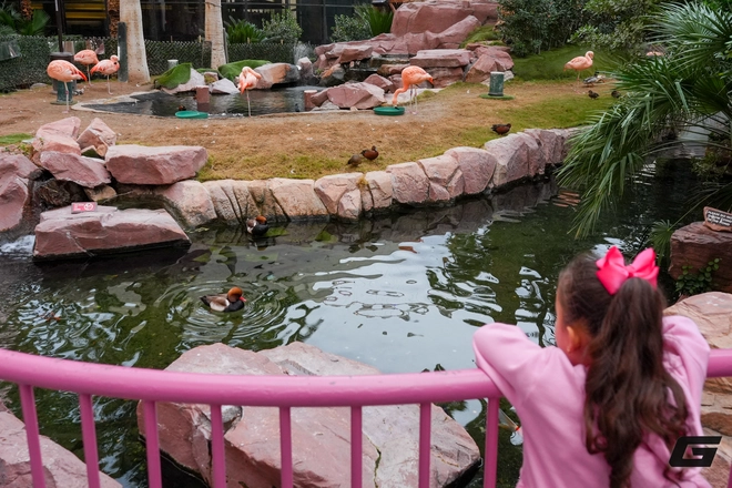 Trên tay và trải nghiệm nhanh Sony A7 V: Khi dòng A7 "quốc dân" chạm ngưỡng cao cấp - Ảnh 40.