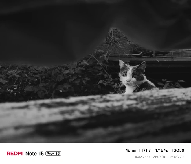 Hoa mai anh đào, mây, sương mù và REDMI Note 15 Pro - Ảnh 48.