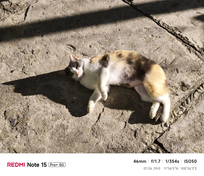 Hoa mai anh đào, mây, sương mù và REDMI Note 15 Pro - Ảnh 41.