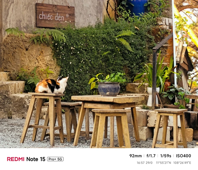 Hoa mai anh đào, mây, sương mù và REDMI Note 15 Pro - Ảnh 44.