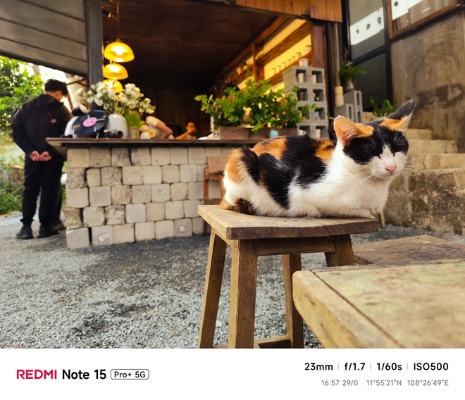 Hoa mai anh đào, mây, sương mù và REDMI Note 15 Pro - Ảnh 40.