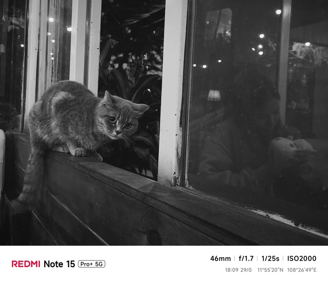 Hoa mai anh đào, mây, sương mù và REDMI Note 15 Pro - Ảnh 46.