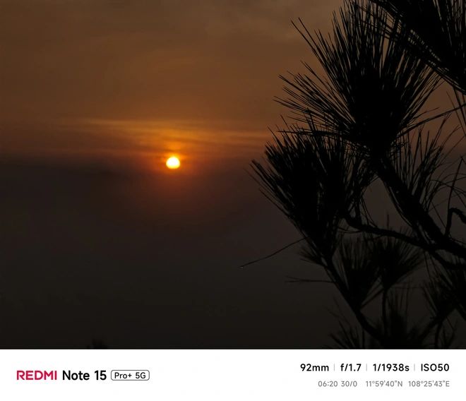 Hoa mai anh đào, mây, sương mù và REDMI Note 15 Pro - Ảnh 3.