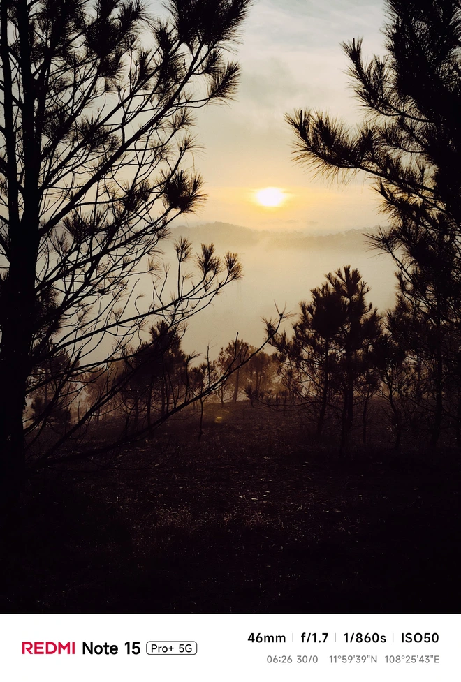 Hoa mai anh đào, mây, sương mù và REDMI Note 15 Pro - Ảnh 4.