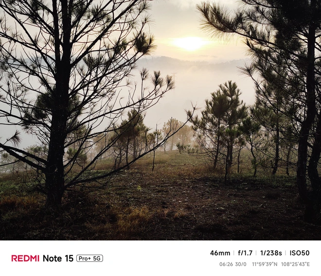 Hoa mai anh đào, mây, sương mù và REDMI Note 15 Pro - Ảnh 6.