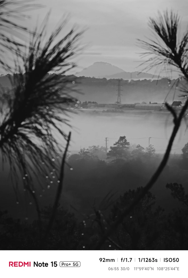 Hoa mai anh đào, mây, sương mù và REDMI Note 15 Pro - Ảnh 25.