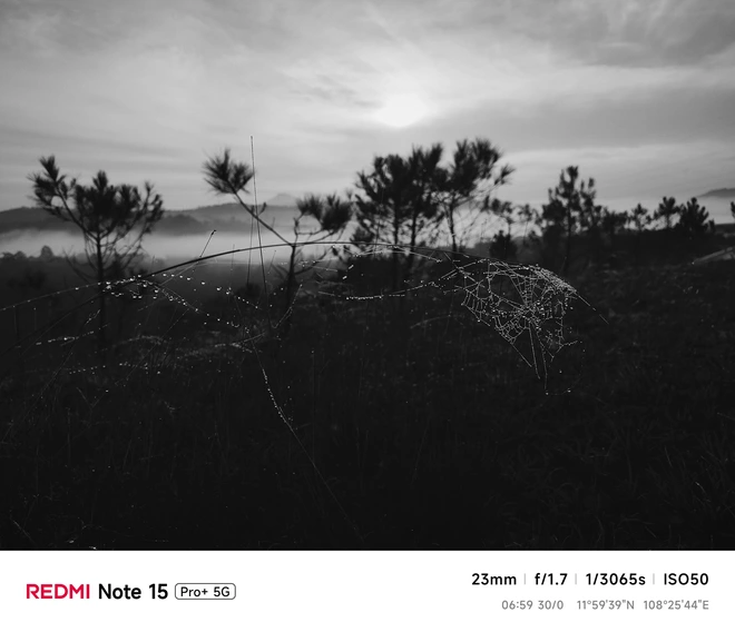 Hoa mai anh đào, mây, sương mù và REDMI Note 15 Pro - Ảnh 23.