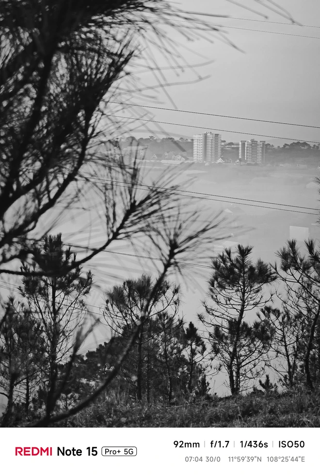 Hoa mai anh đào, mây, sương mù và REDMI Note 15 Pro - Ảnh 16.