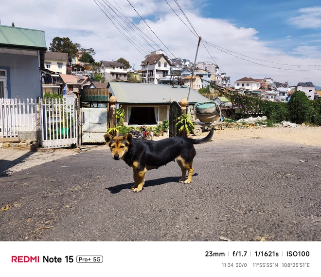 Hoa mai anh đào, mây, sương mù và REDMI Note 15 Pro - Ảnh 42.