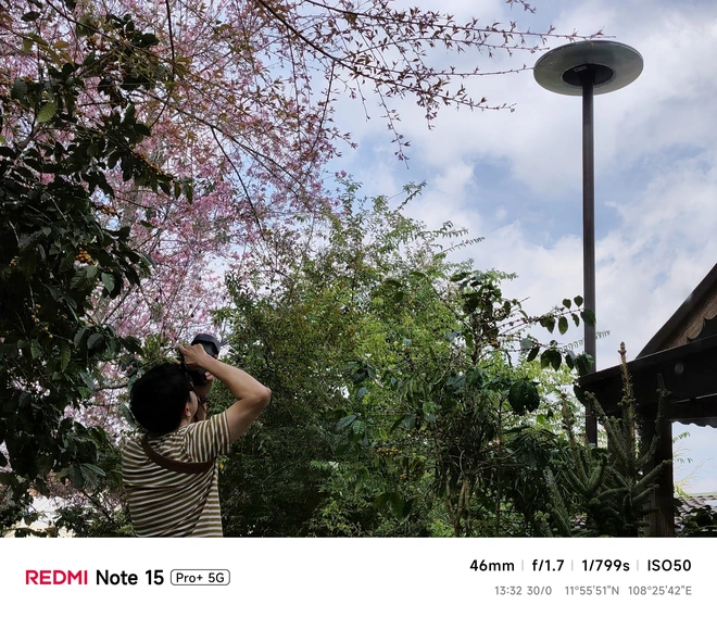 Hoa mai anh đào, mây, sương mù và REDMI Note 15 Pro - Ảnh 28.