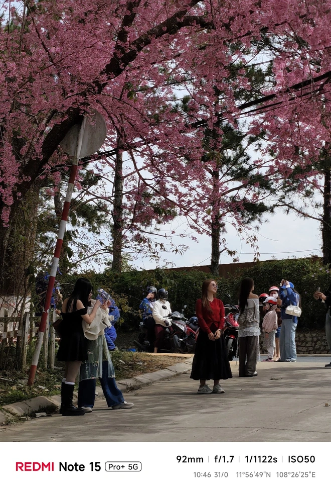 Hoa mai anh đào, mây, sương mù và REDMI Note 15 Pro - Ảnh 31.