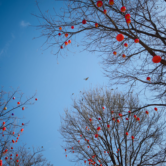 Giám đốc mảng Camera của Xiaomi: Mối quan hệ hợp tác của chúng tôi với Leica bắt nguồn từ một triết lý chung - mang linh hồn trở lại với nhiếp ảnh di động - Ảnh 24.