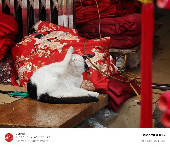 Xiaomi 17 Ultra: Điện thoại chụp ảnh xịn nhất, đẹp nhất của Xiaomi - Ảnh 13.