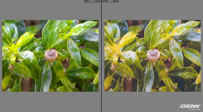 C&aacute;i nh&igrave;n s&acirc;u về camera macro tr&ecirc;n Galaxy A51: khi n&agrave;o, l&agrave;m sao để c&oacute; được bức ảnh l&yacute; tưởng nhất - Ảnh 14.