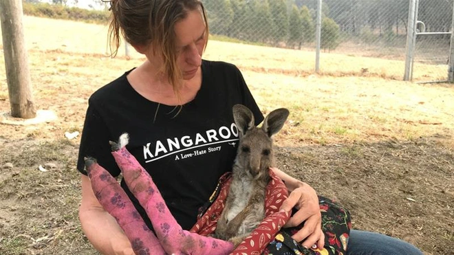 Việc giải cứu động vật hoang d&atilde; trong đại thảm họa ch&aacute;y rừng ở &Uacute;c diễn ra như thế n&agrave;o? - Ảnh 6.