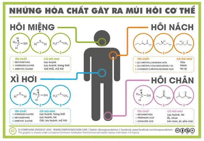[Infographic] Điểm mặt gọi t&ecirc;n những hợp chất g&acirc;y h&ocirc;i miệng, h&ocirc;i n&aacute;ch, h&ocirc;i ch&acirc;n - Ảnh 1.